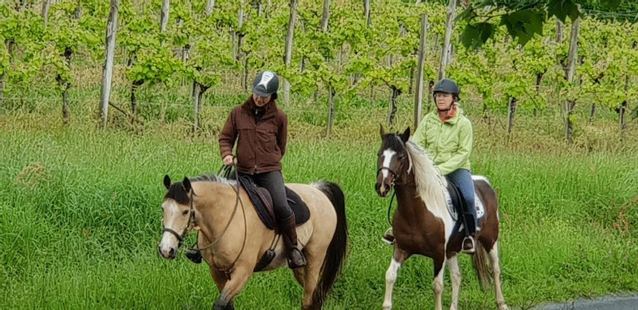 La Villa Des Coteaux Pomport Εξωτερικό φωτογραφία